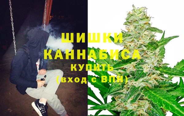 сатива Алексеевка