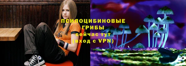 бутират Алексин