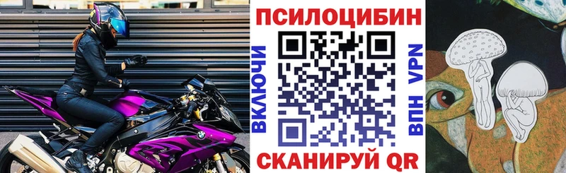 Псилоцибиновые грибы мицелий  Пермь 